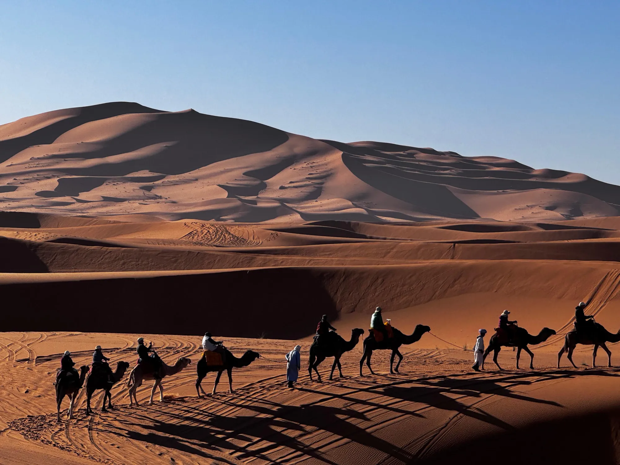 Camel caravan crossing the dunes of Erg Chebbi on a guided Moroccan desert expedition