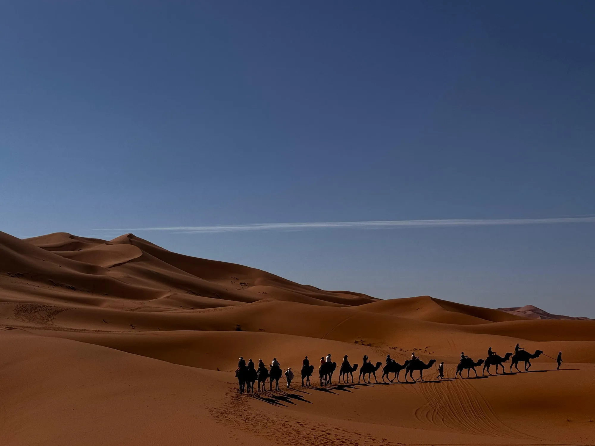 Camel caravan crossing the dunes of the Sahara